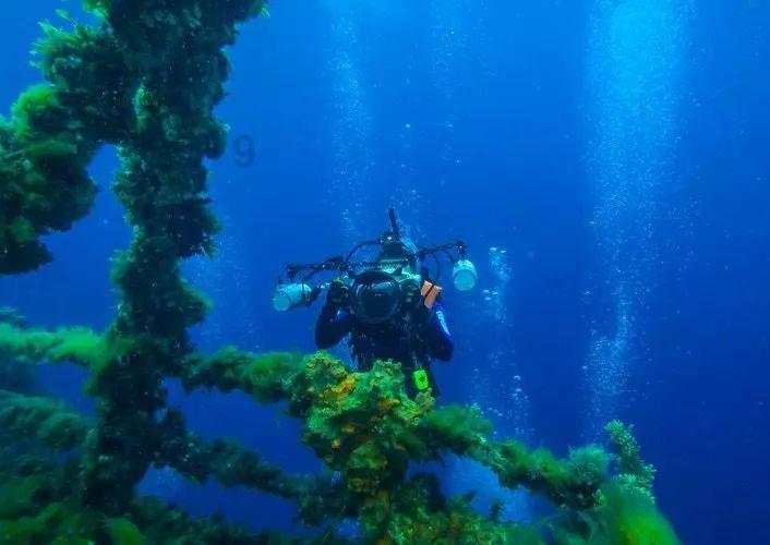 逃离神秘海底世界